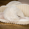 Mules fourrée nacrée beige hiver - 9srm016
